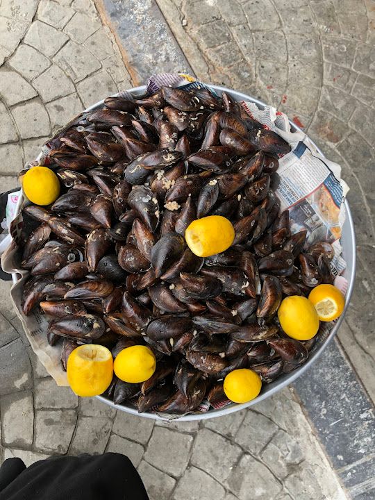 Fotoğraf 23