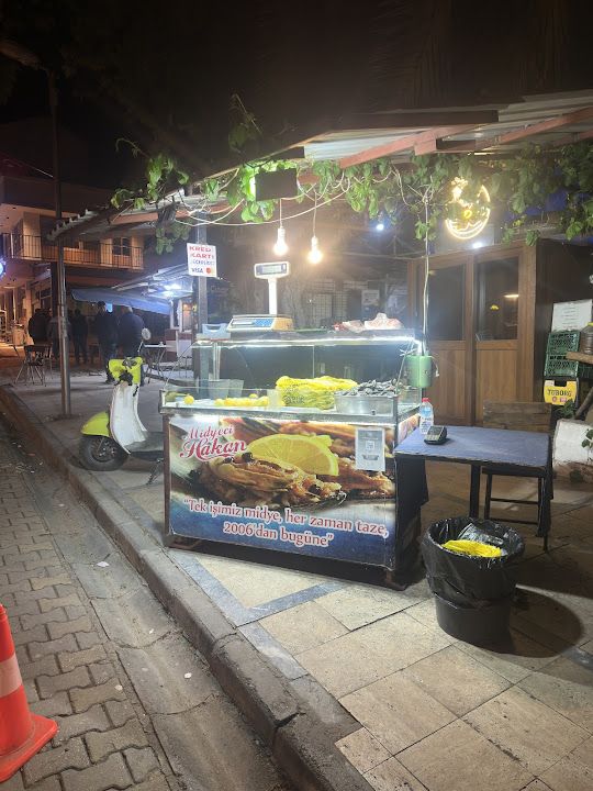Fotoğraf 12
