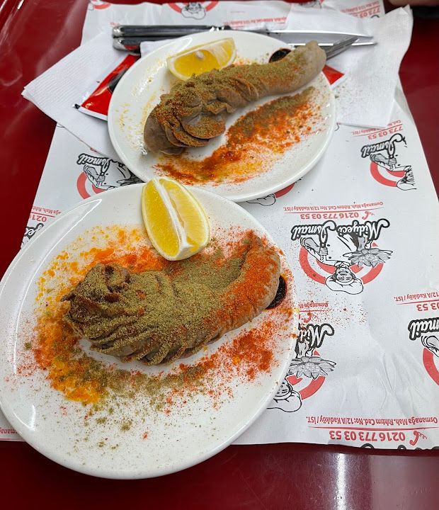 Fotoğraf 23