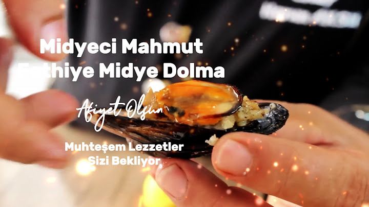 Fotoğraf 14