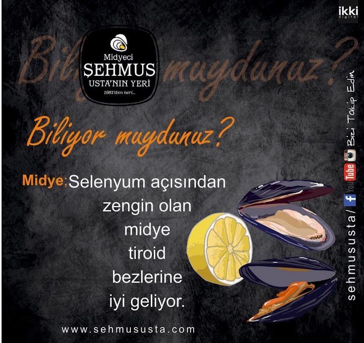 Fotoğraf 22