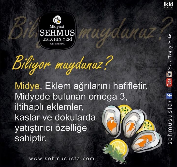 Fotoğraf 15