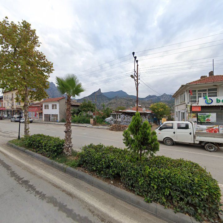 Fotoğraf 3
