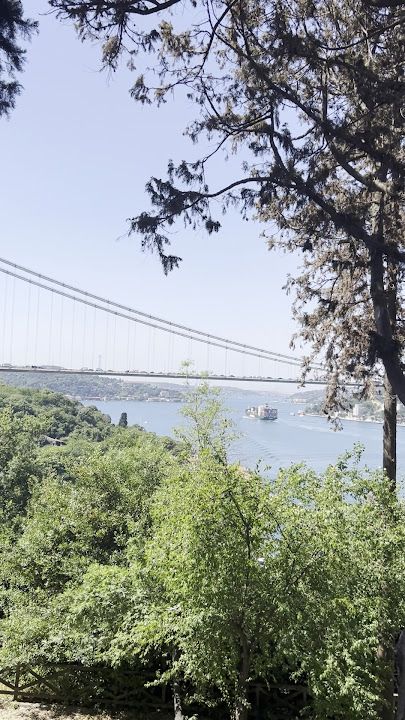 Fotoğraf 65