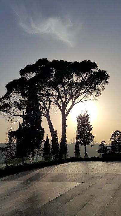 Fotoğraf 68
