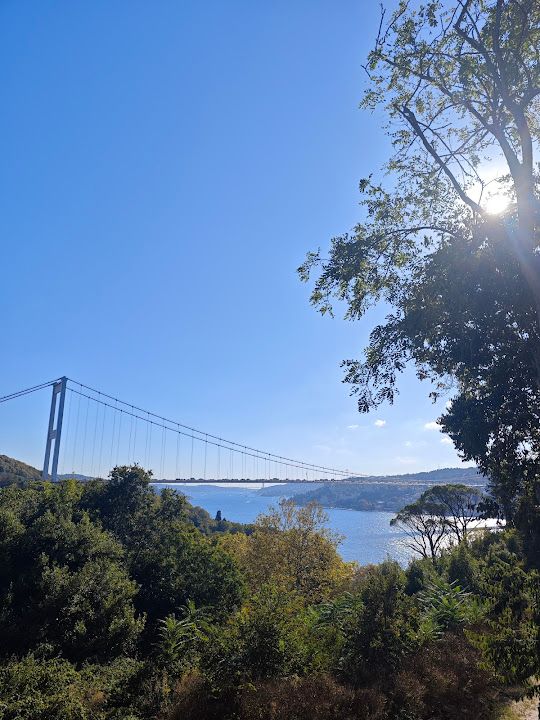 Yorum fotoğrafı 3