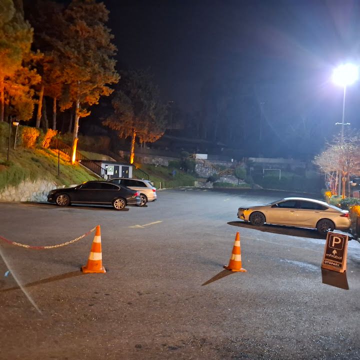Fotoğraf 61