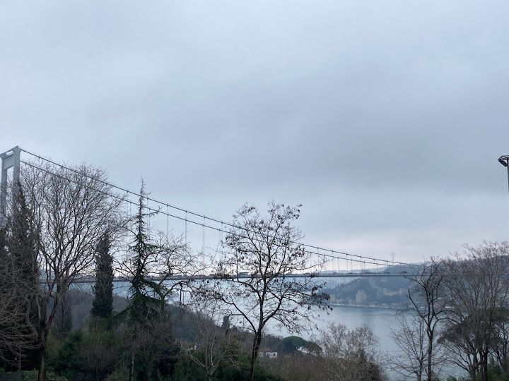 Fotoğraf 31