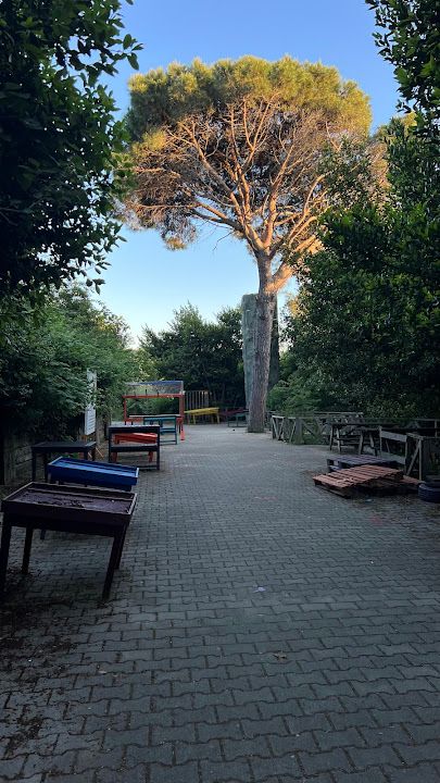Fotoğraf 18
