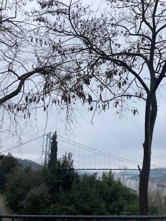 Fotoğraf 59