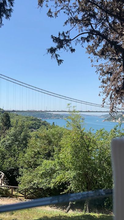 Fotoğraf 66
