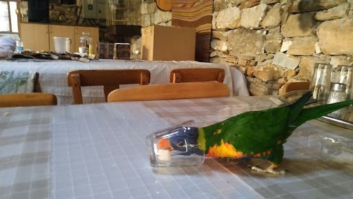 Fotoğraf 27