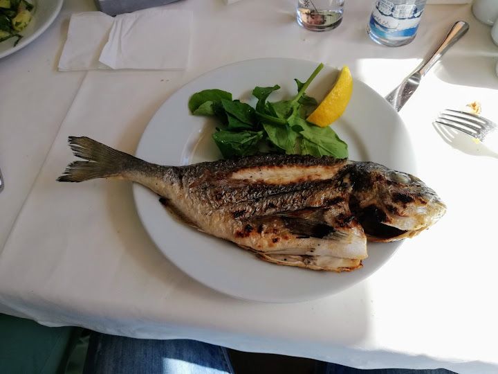 Fotoğraf 35