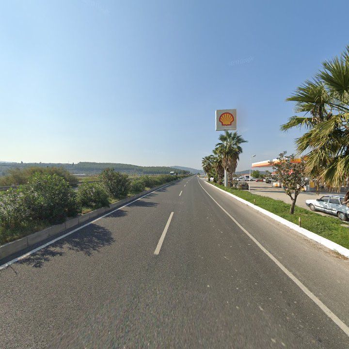 Fotoğraf 12