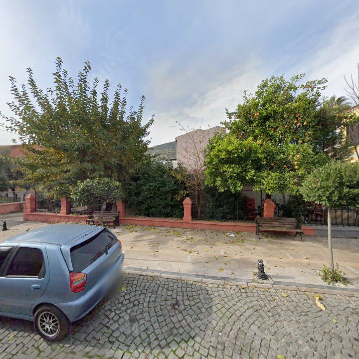 Fotoğraf 7