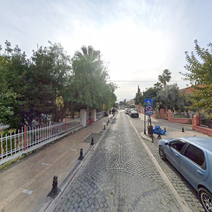 Fotoğraf 10