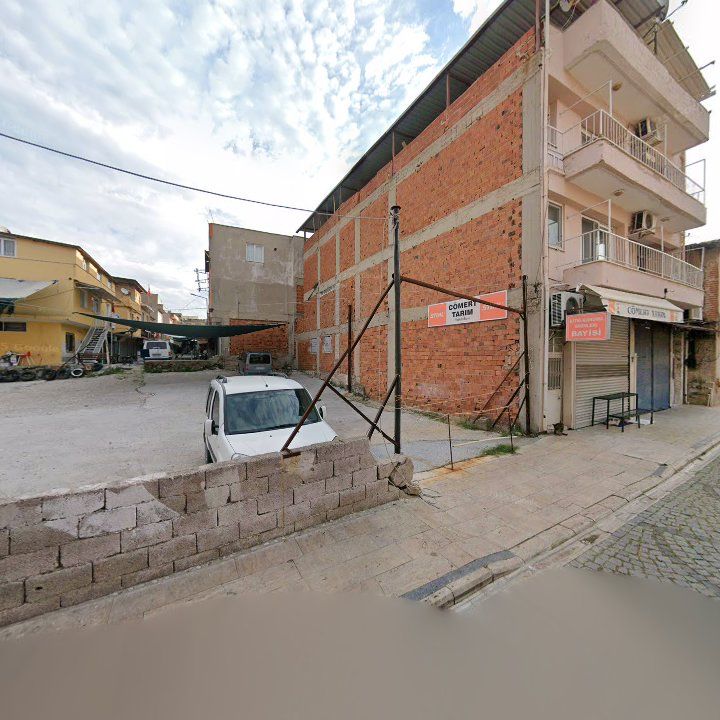 Fotoğraf 7