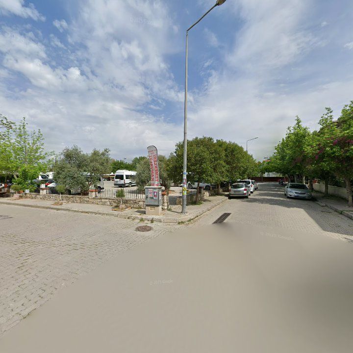 Fotoğraf 10
