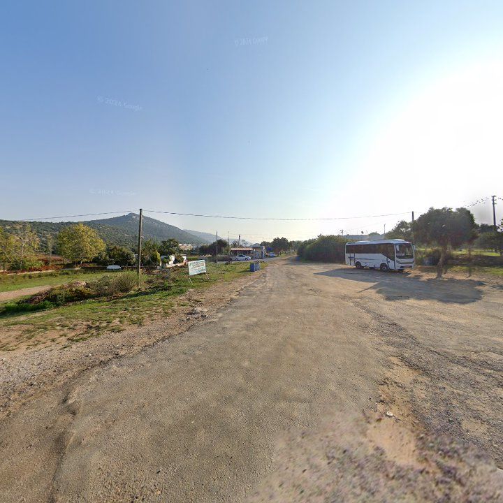 Fotoğraf 8