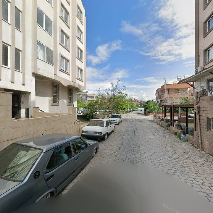 Fotoğraf 11