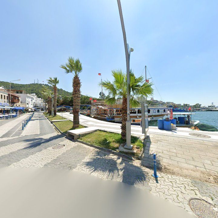 Fotoğraf 10