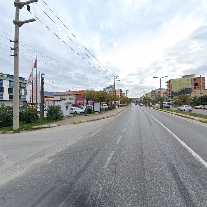 Fotoğraf 10