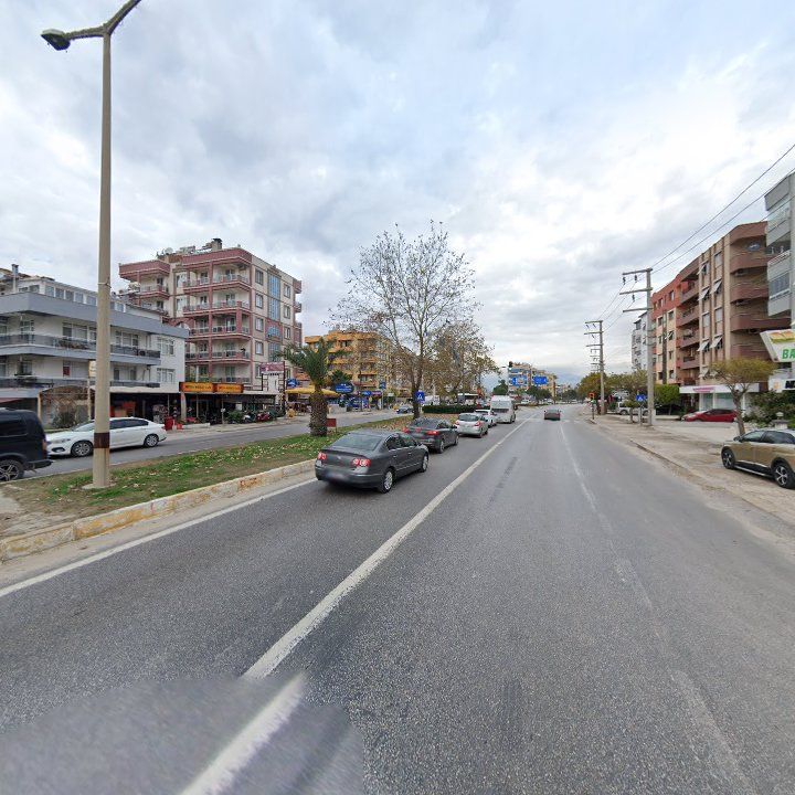 Fotoğraf 12