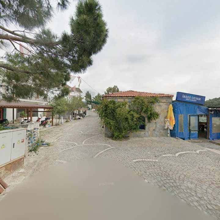 Fotoğraf 8