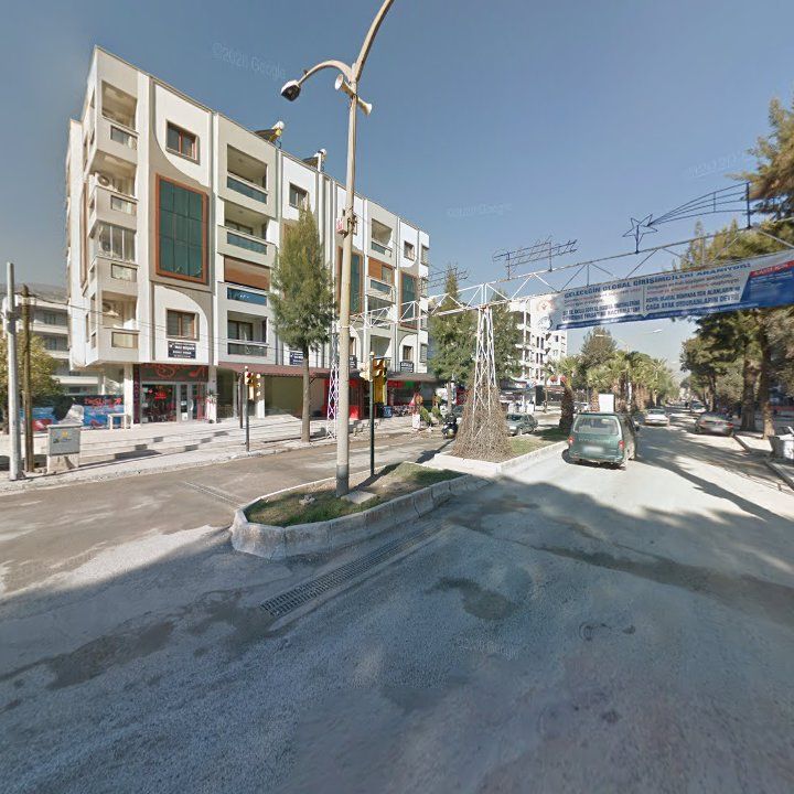 Fotoğraf 11