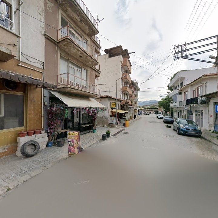 Fotoğraf 11