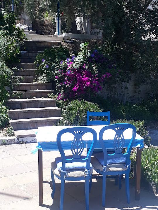 Boğaziçi Dali Restaurant