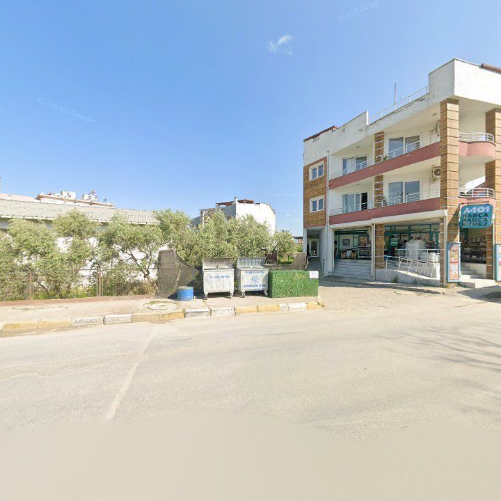 Fotoğraf 6