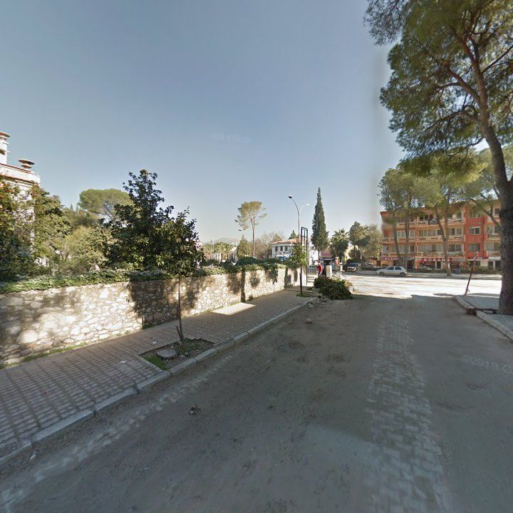 Fotoğraf 11