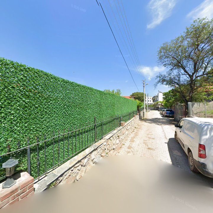 Fotoğraf 8