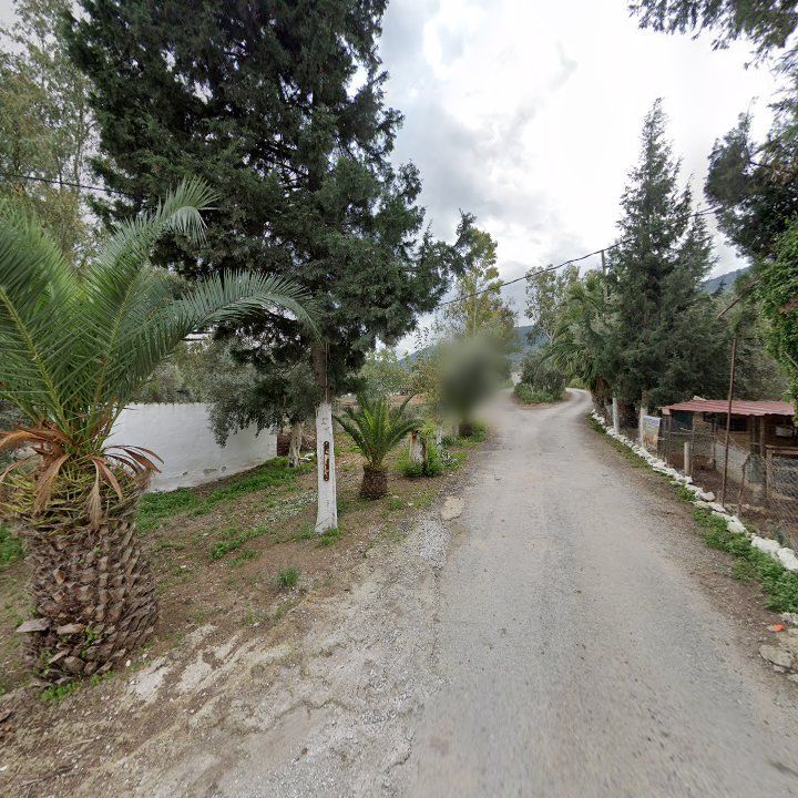 Fotoğraf 11