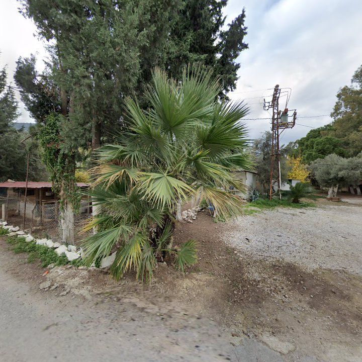 Fotoğraf 12