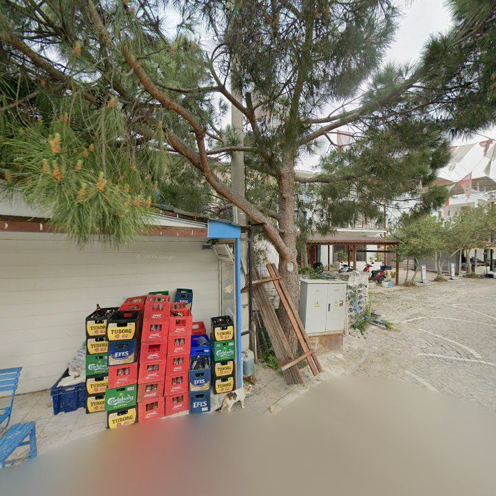 Fotoğraf 11