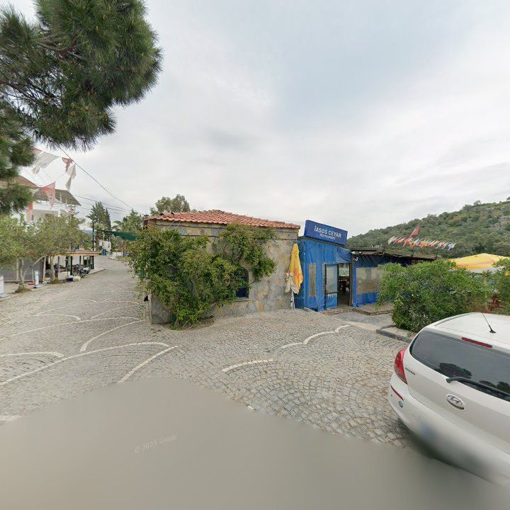 Fotoğraf 8