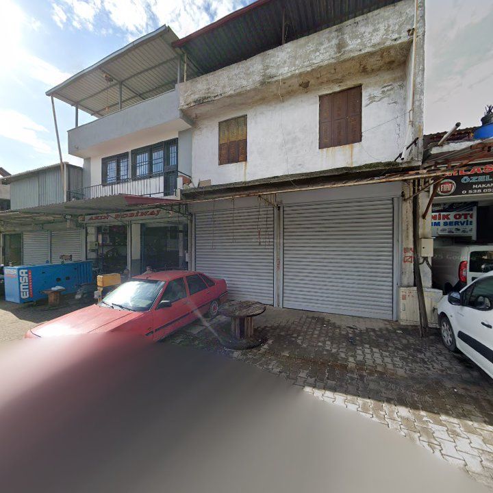 Fotoğraf 8