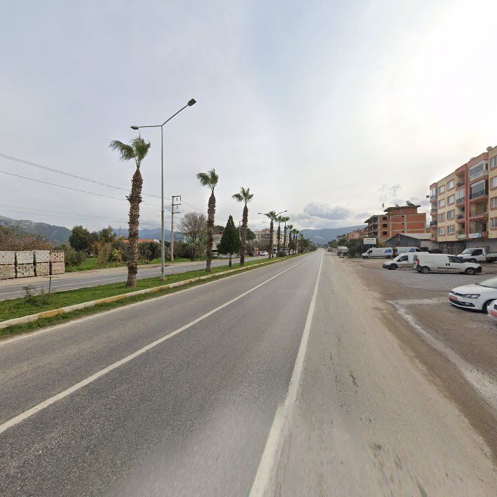 Fotoğraf 8