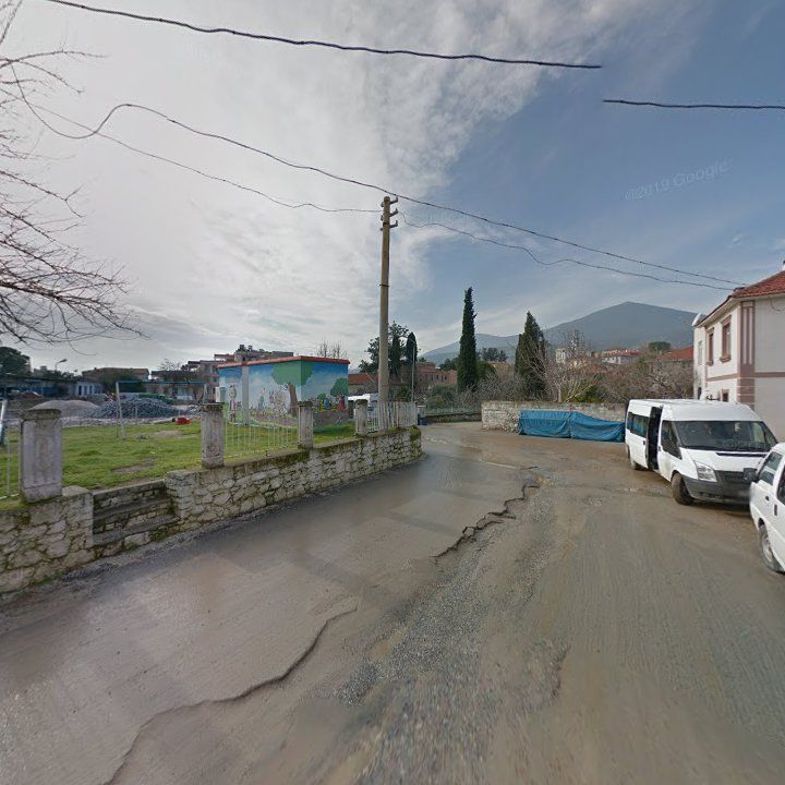 Fotoğraf 8