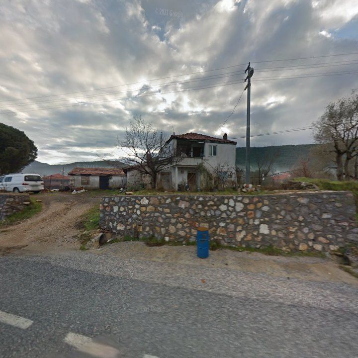 Fotoğraf 8