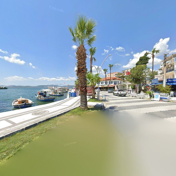 Fotoğraf 11