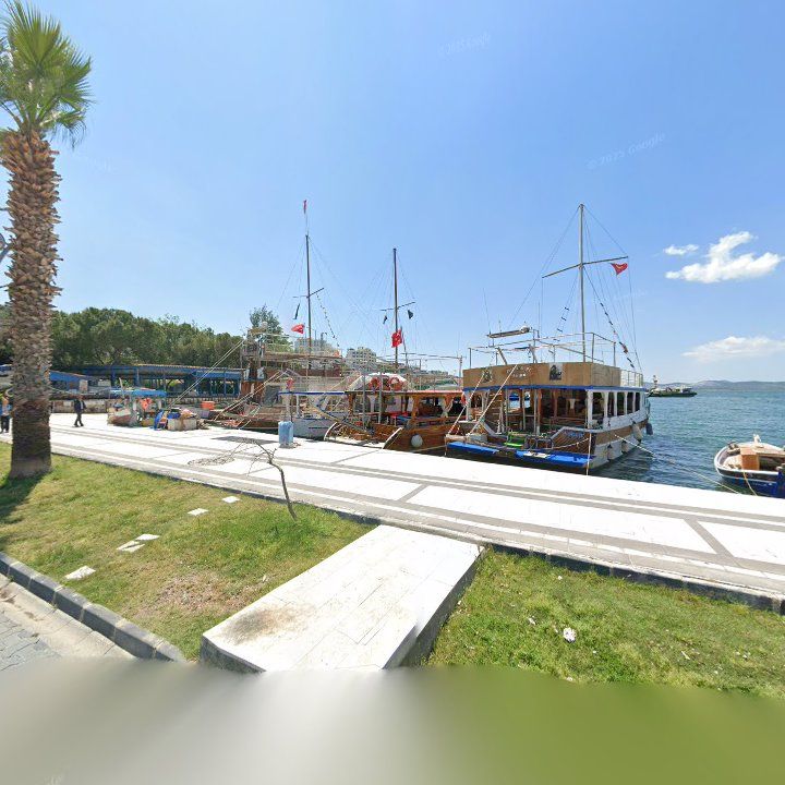 Fotoğraf 10
