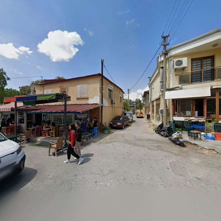 Fotoğraf 10
