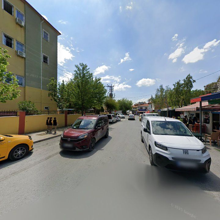 Fotoğraf 9