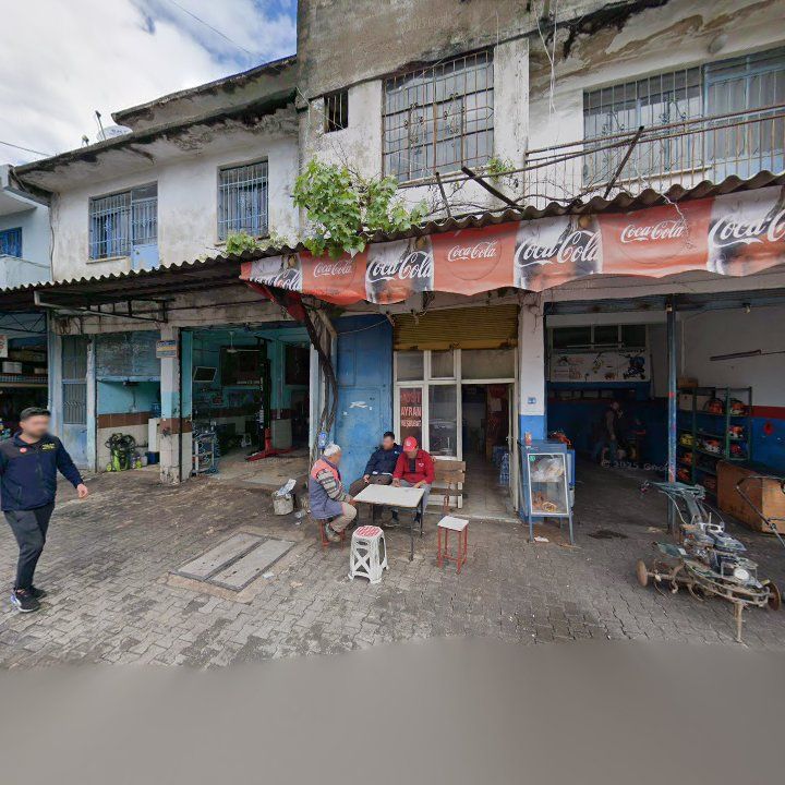 Fotoğraf 8