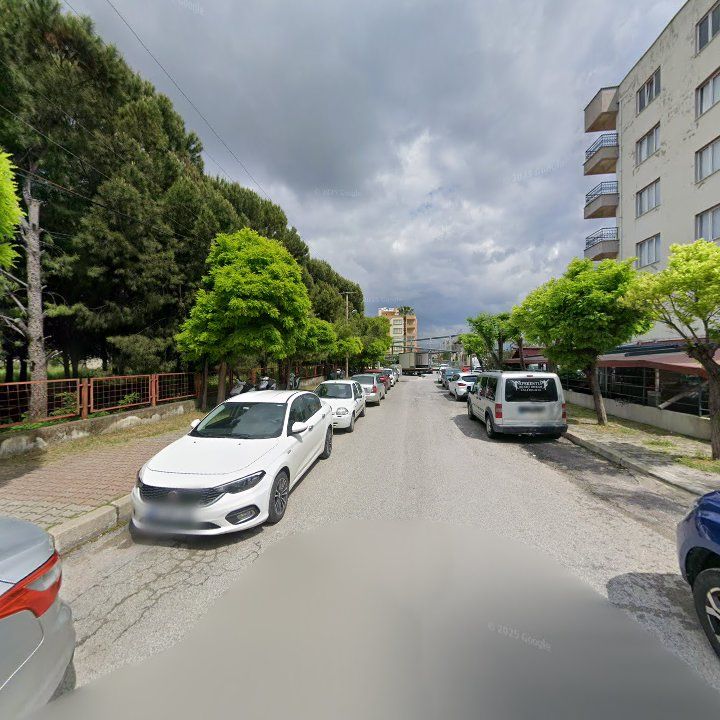 Fotoğraf 9