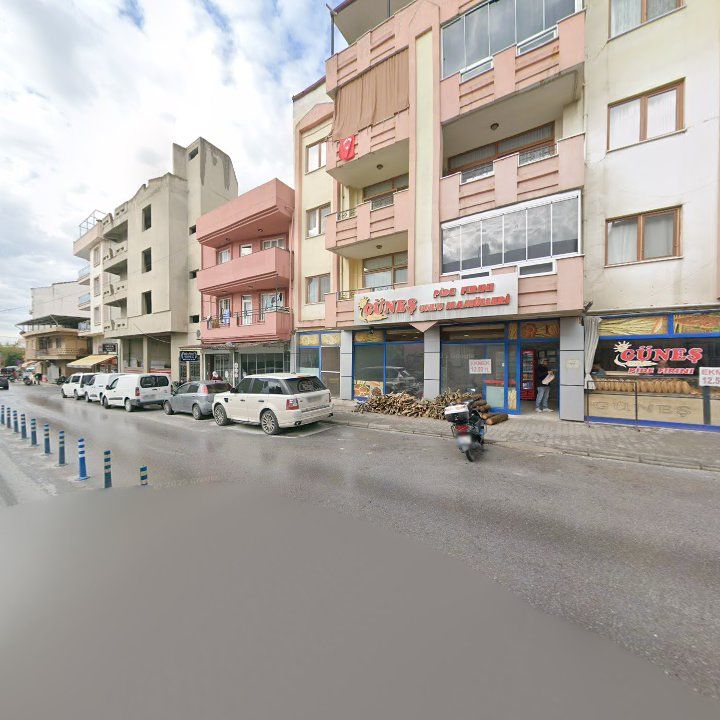 Fotoğraf 7