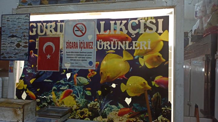 Gurin Balıkçısı